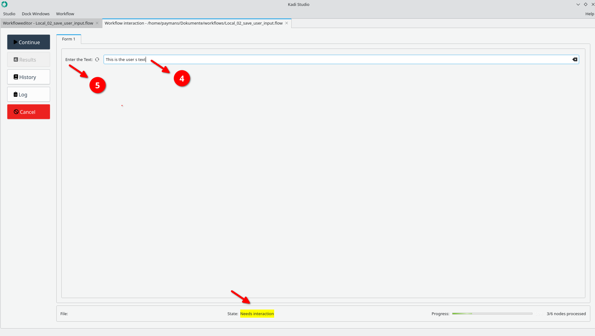Local_02_save_user-input_run_3